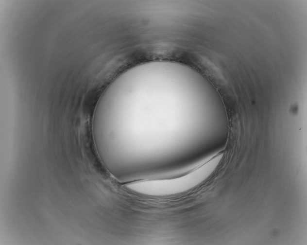 X0000089870225200707262156