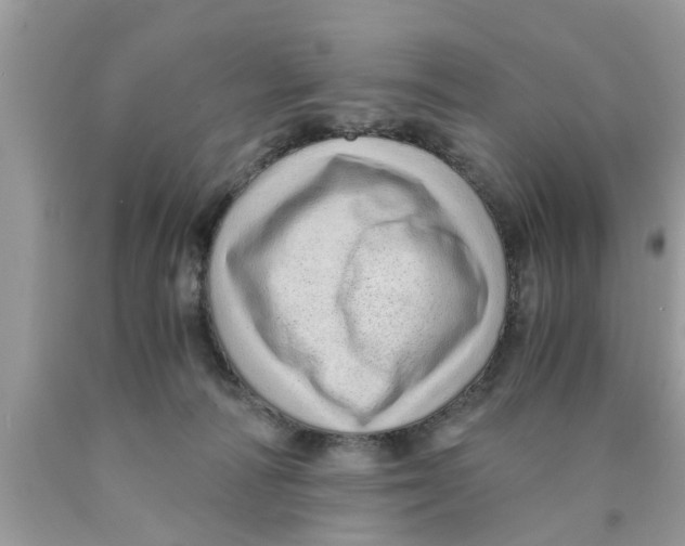 X0000089870226200707262156