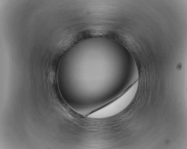 X0000089870227200707262156