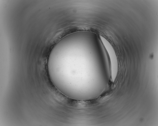 X0000089870229200707262156