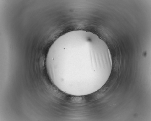 X0000089870230200707262156