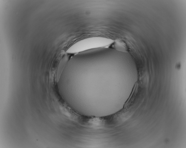 X0000089870231200707262156