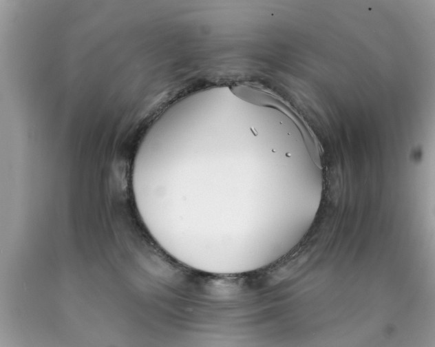 X0000089870232200707262156
