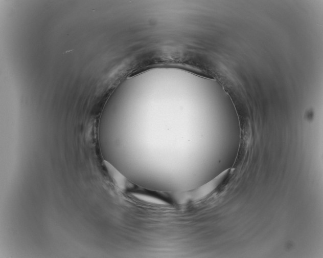 X0000089870233200707262156