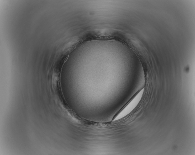 X0000089870235200707262156