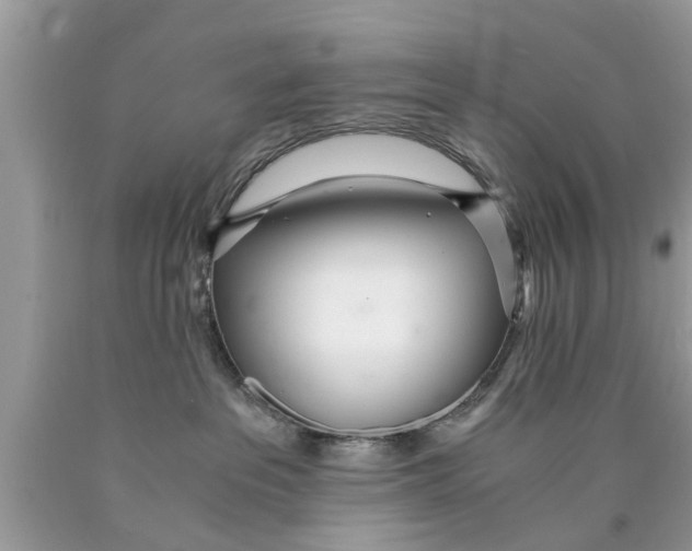 X0000089870237200707262156
