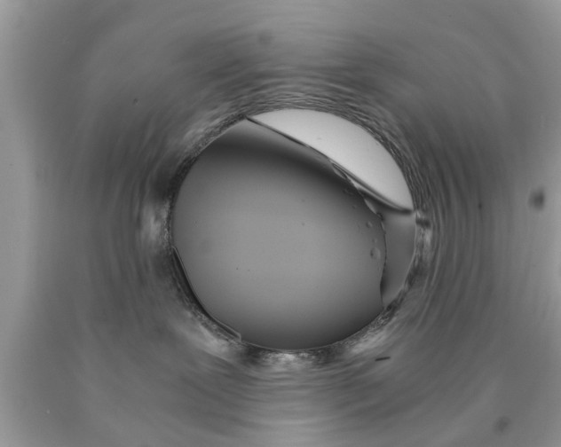 X0000089870239200707262156