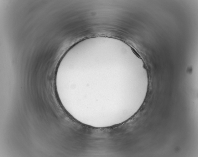 X0000089870241200707262155