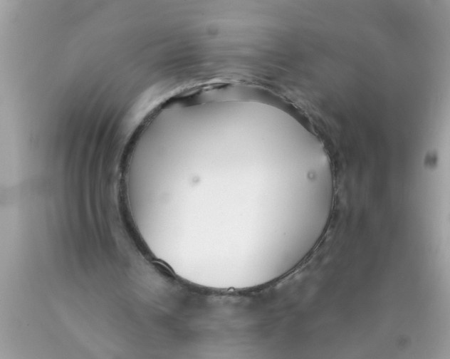 X0000089870242200707262155