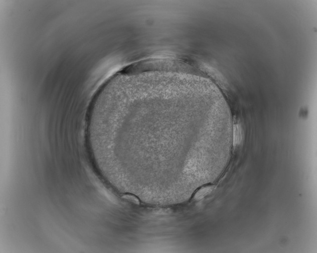 X0000089870243200707262155