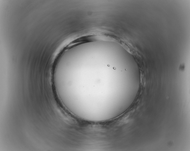 X0000089870244200707262155