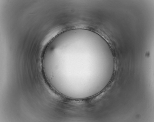 X0000089870245200707262155