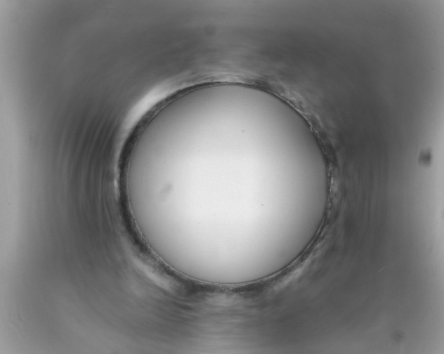 X0000089870246200707262155