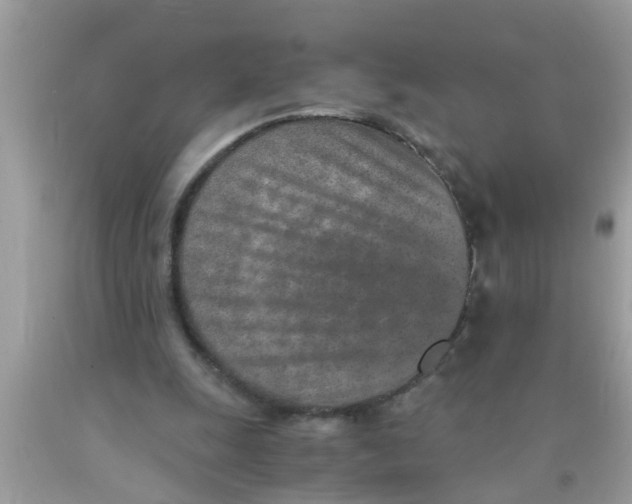 X0000089870247200707262155