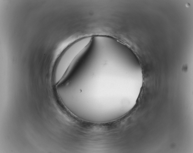 X0000089870248200707262155