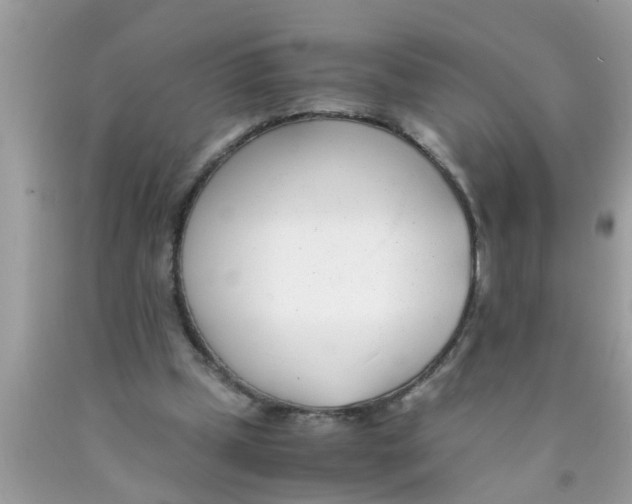 X0000089870249200707262155