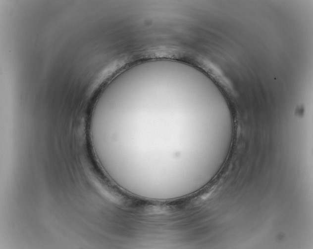 X0000089870250200707262155