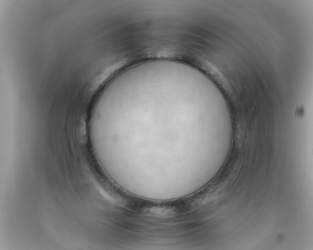 X0000089870251200707262155
