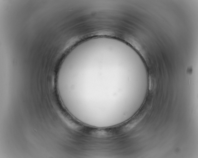 X0000089870253200707262155