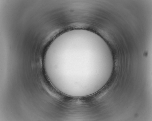 X0000089870254200707262155