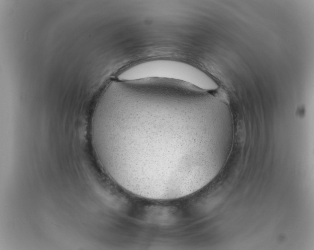 X0000089870255200707262155