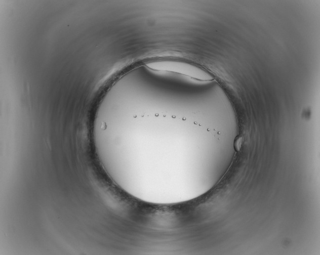 X0000089870256200707262155
