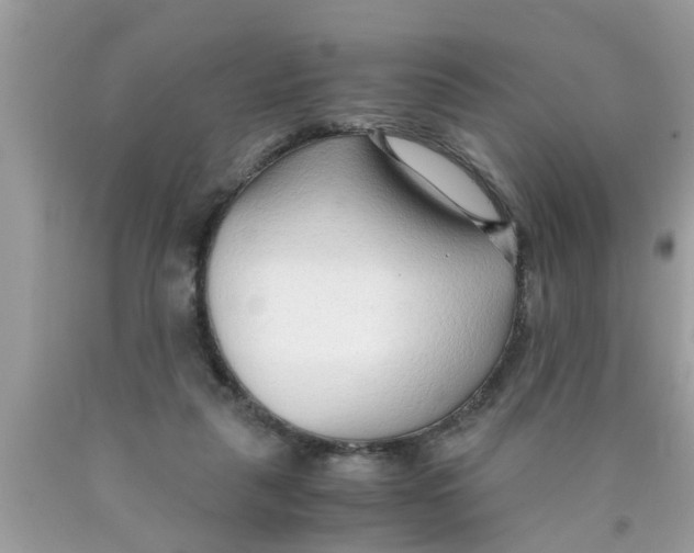 X0000089870259200707262155