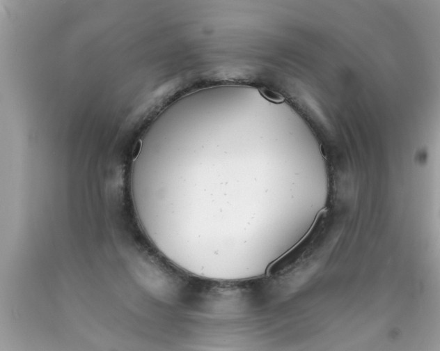 X0000089870260200707262155