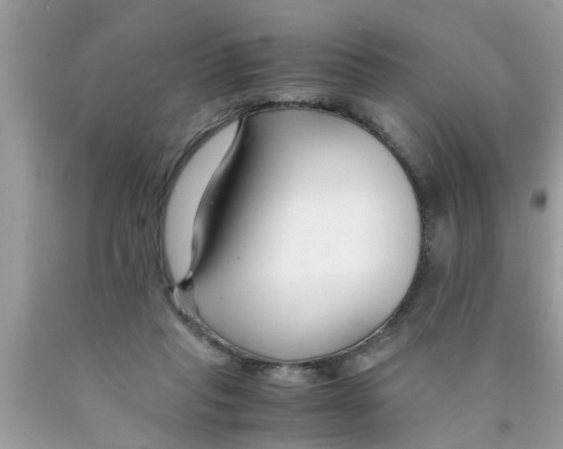 X0000089870261200707262155