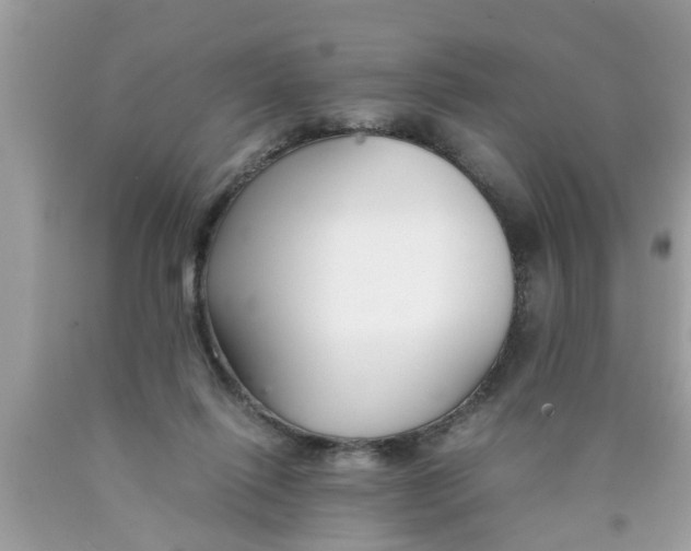 X0000089870262200707262155
