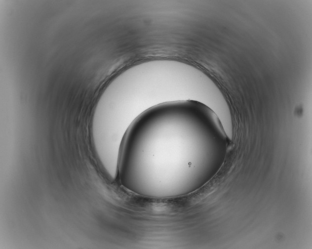 X0000089870264200707262155