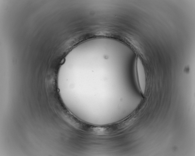 X0000089870265200707262155