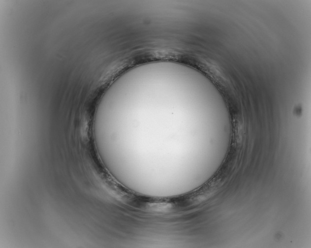 X0000089870266200707262155