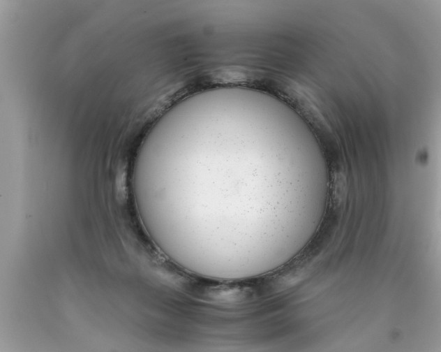 X0000089870267200707262155