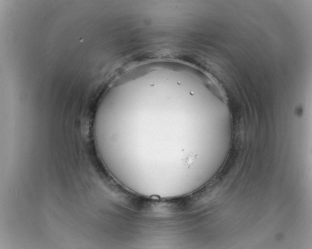 X0000089870268200707262155