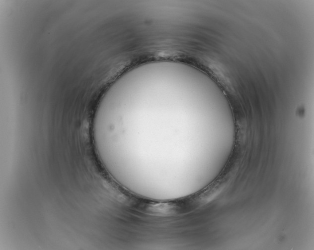 X0000089870269200707262155