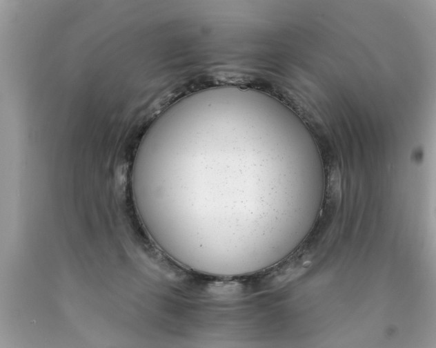 X0000089870271200707262155