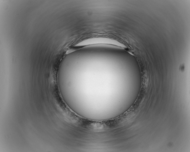 X0000089870272200707262155