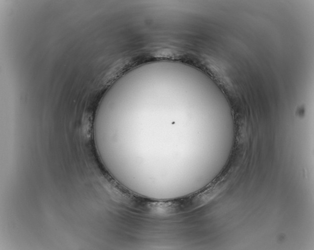 X0000089870273200707262155