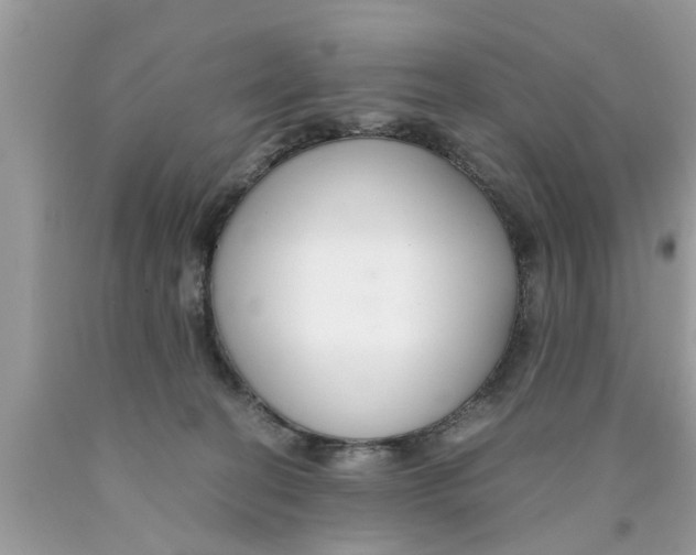 X0000089870274200707262155