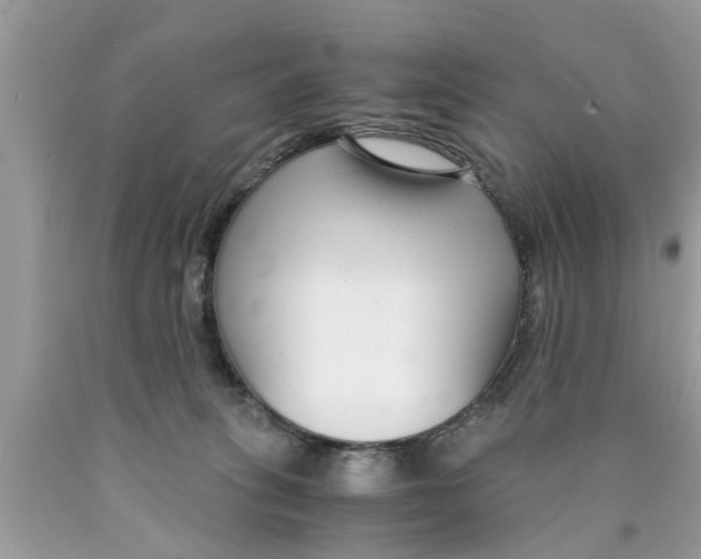 X0000089870275200707262155