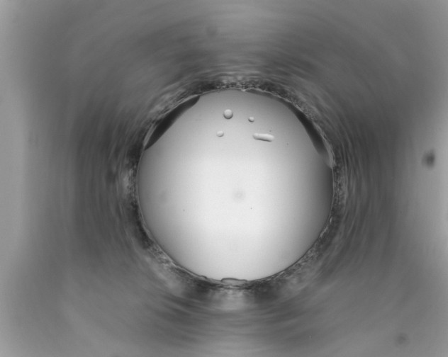 X0000089870276200707262155