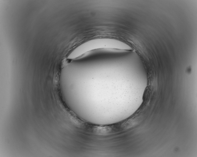 X0000089870277200707262155