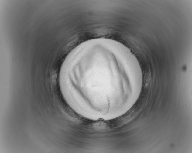 X0000089870279200707262156