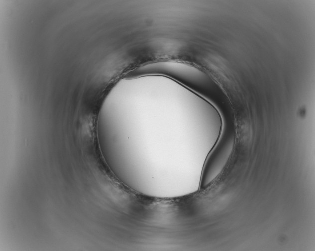 X0000089870280200707262156