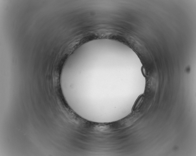 X0000089870283200707262156