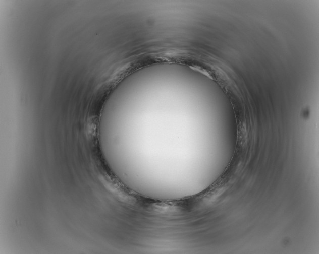 X0000089870284200707262156