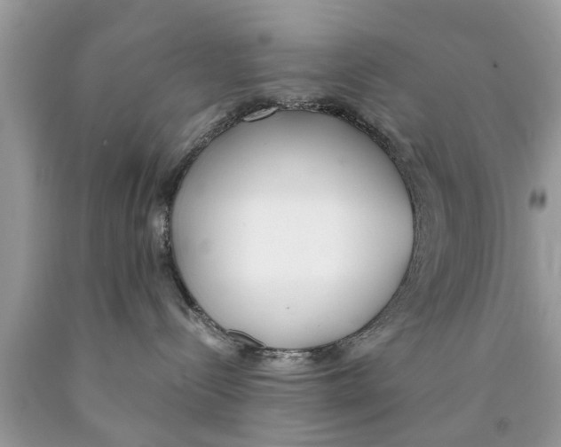 X0000089870288200707262156