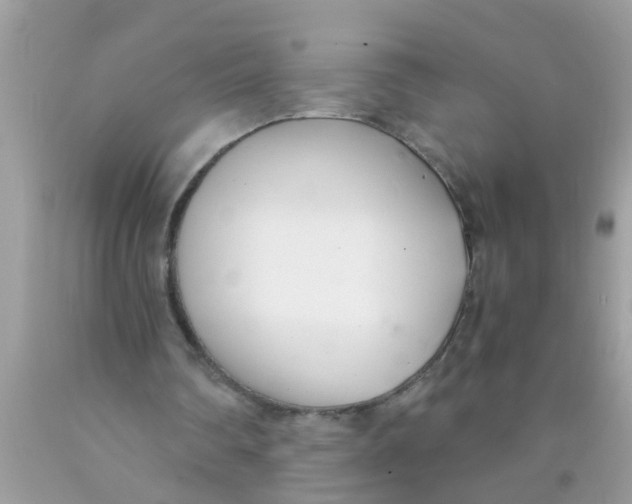 X0000089870290200707262155
