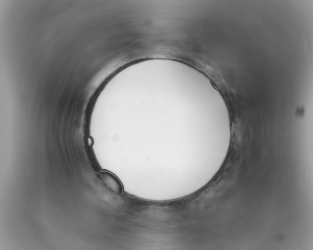 X0000089870292200707262155